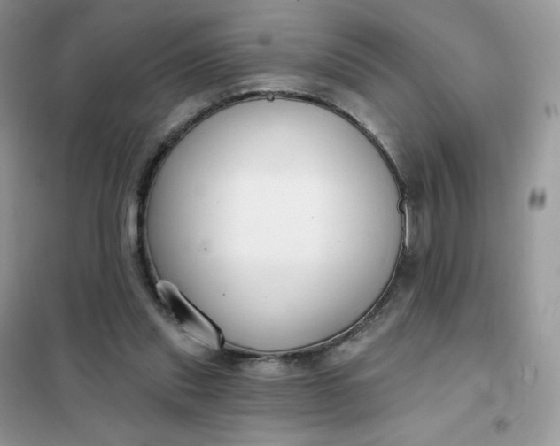 X0000102040253200808011517