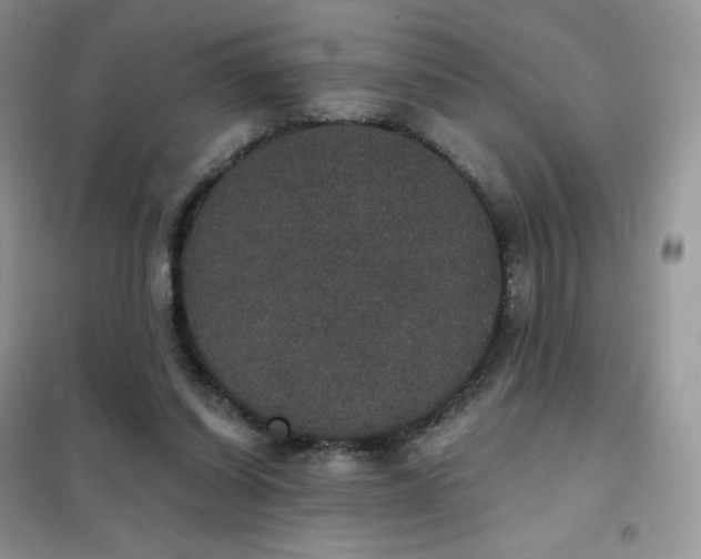 X0000102040254200808011517