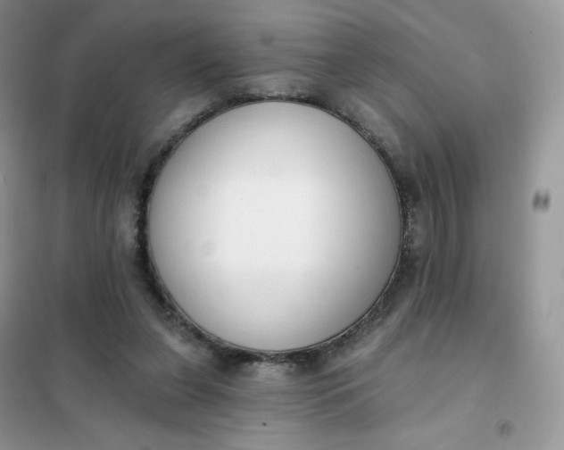 X0000102040255200808011517