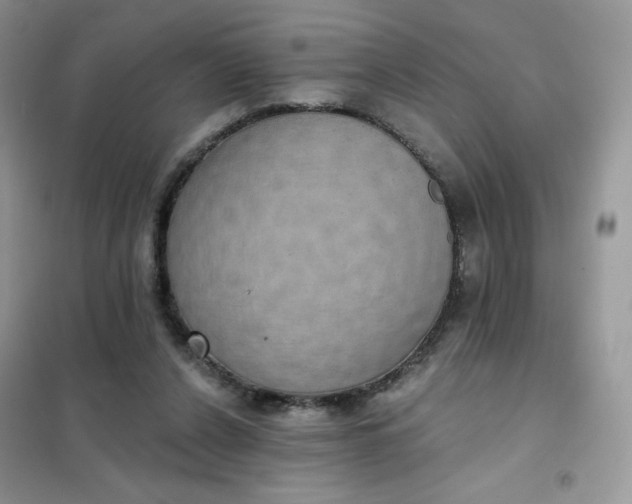 X0000102040256200808011517