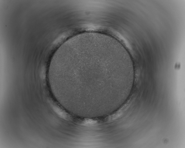 X0000102040257200808011517