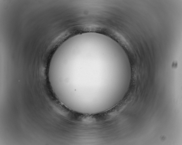 X0000102040258200808011517