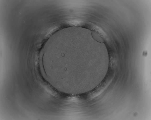 X0000102040259200808011517