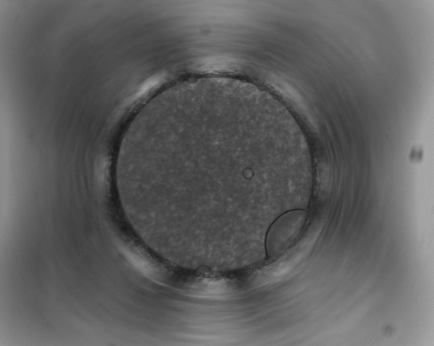 X0000102040260200808011517