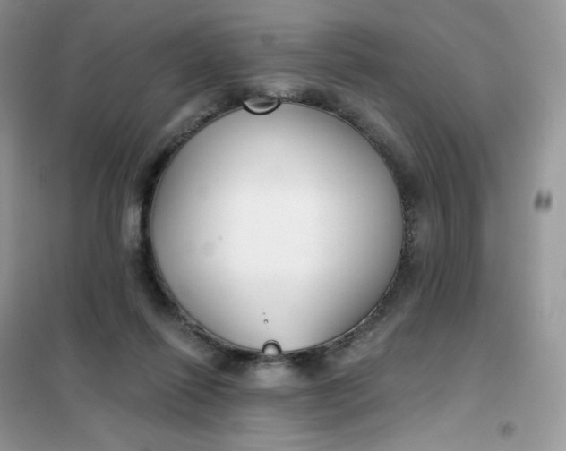 X0000102040262200808011517