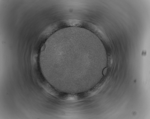 X0000102040263200808011517