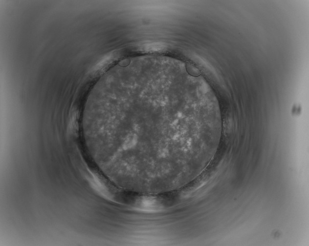 X0000102040264200808011517