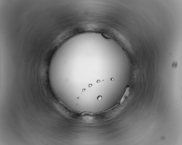 X0000102040265200808011517