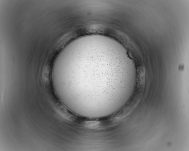 X0000102040266200808011517