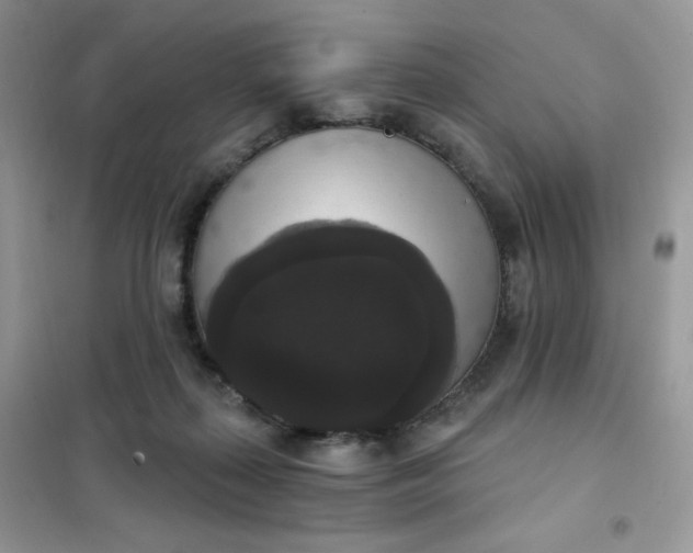 X0000102040267200808011517