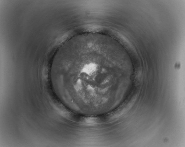 X0000102040268200808011517