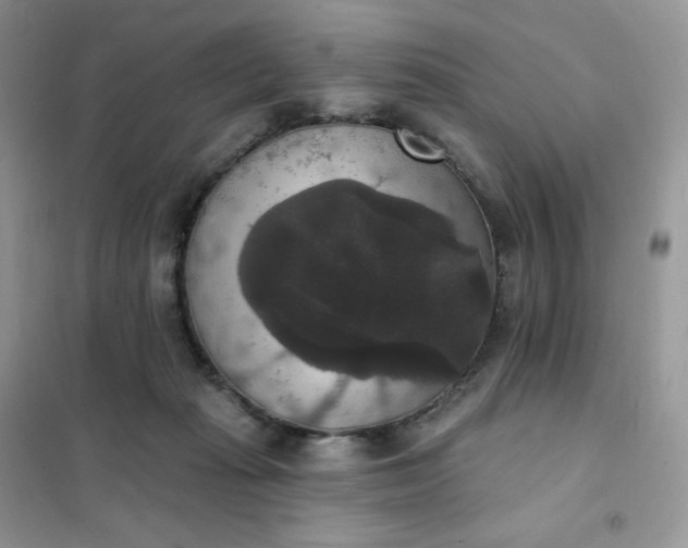 X0000102040269200808011517