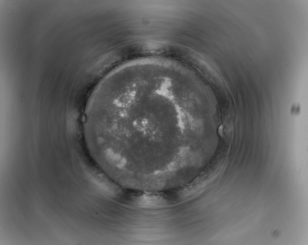 X0000102040270200808011517