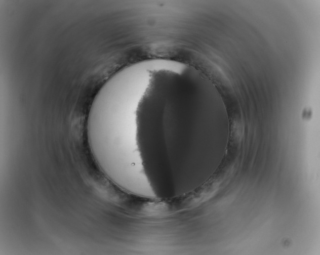 X0000102040271200808011517