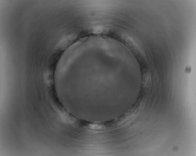 X0000102040272200808011517