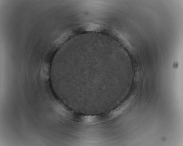 X0000102040273200808011517