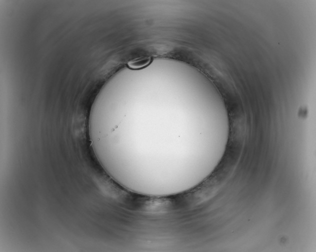 X0000102040274200808011517