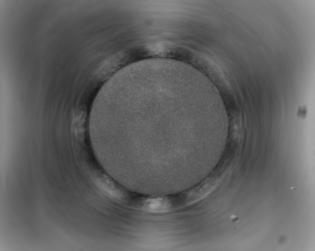 X0000102040275200808011517