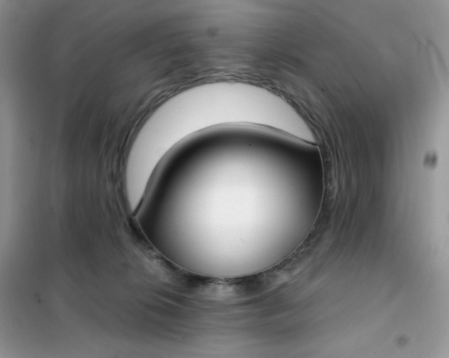 X0000102040276200808011517