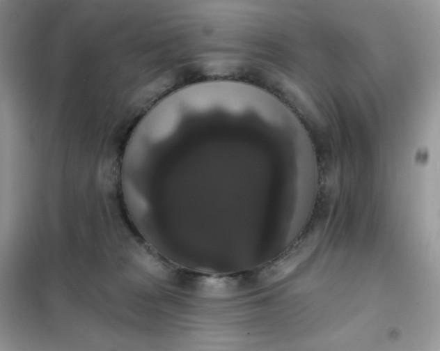 X0000102040277200808011517