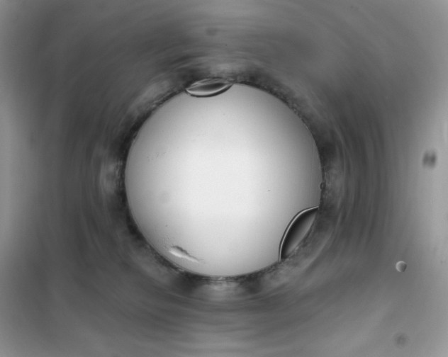 X0000102040278200808011517