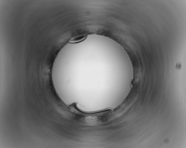 X0000102040279200808011517