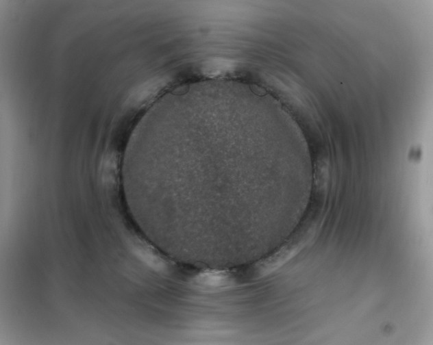 X0000102040280200808011517