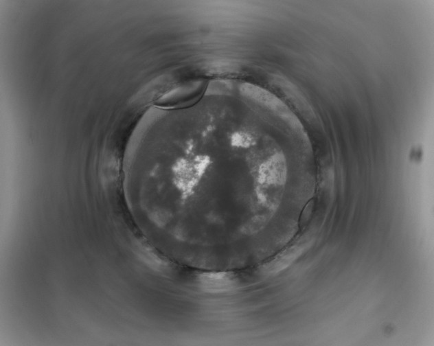 X0000102040281200808011517