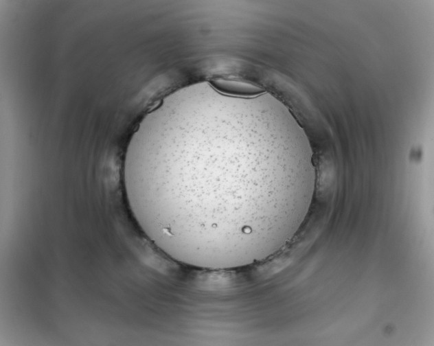 X0000102040282200808011518