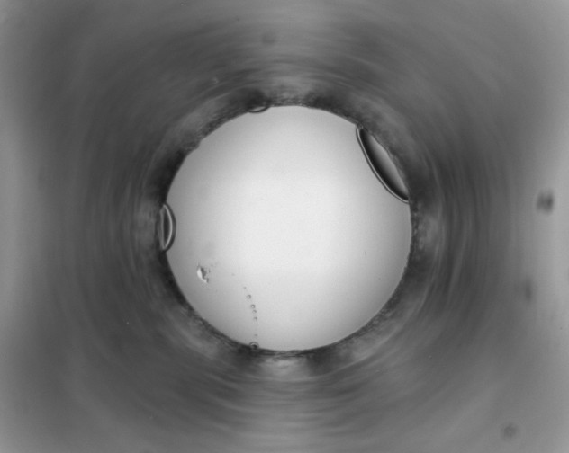 X0000102040283200808011518