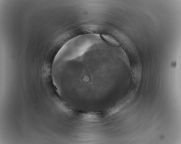 X0000102040284200808011518