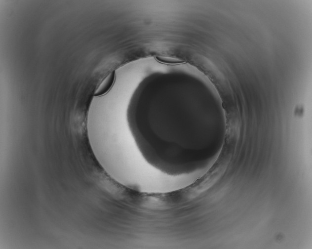 X0000102040285200808011518