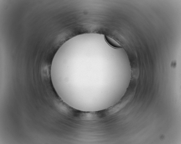 X0000102040286200808011518