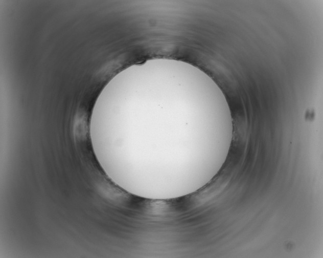 X0000102040287200808011518