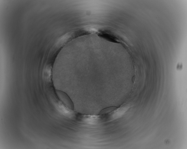 X0000102040288200808011518