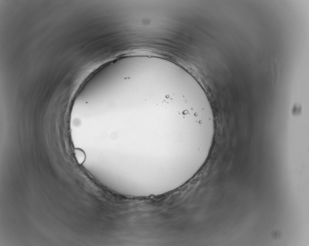 X0000102040289200808011517