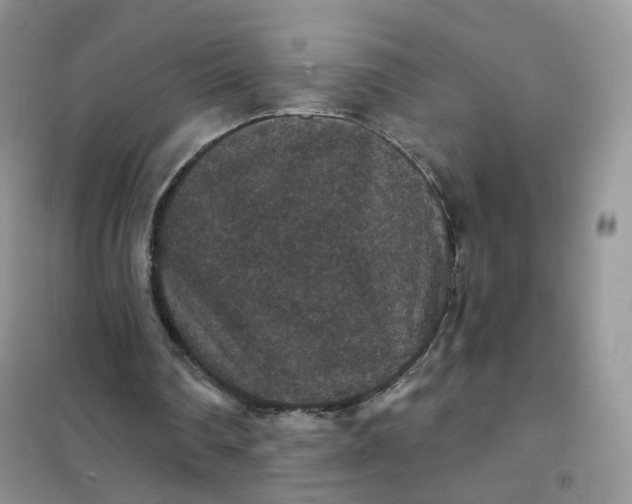 X0000102040290200808011517