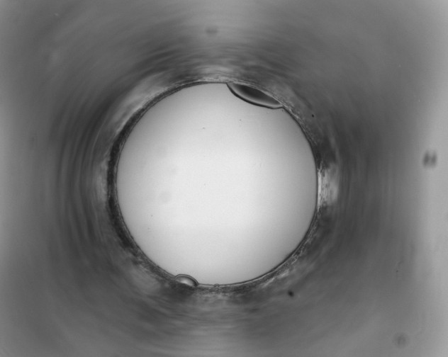 X0000102040291200808011517