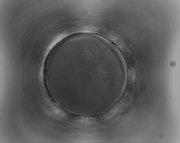 X0000102040292200808011517