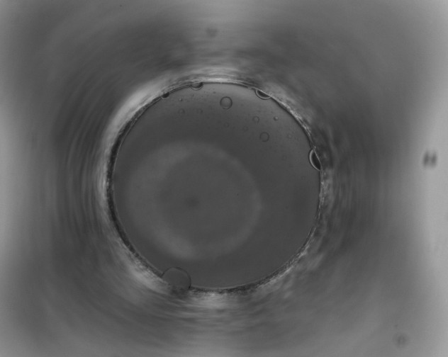 X0000102040293200808011517