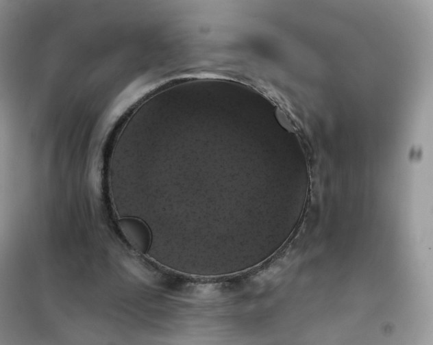 X0000102040295200808011517