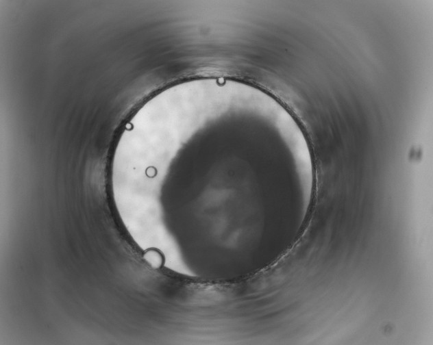 X0000102040297200808011517