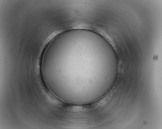 X0000102040298200808011517