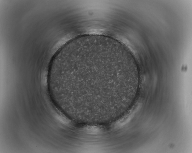 X0000102040299200808011517