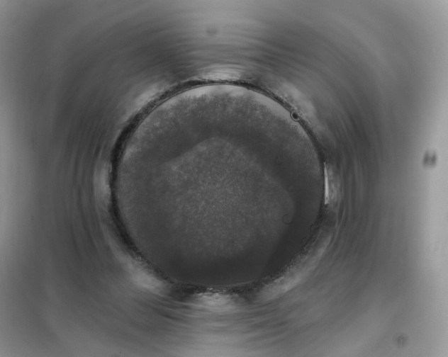 X0000102040300200808011517