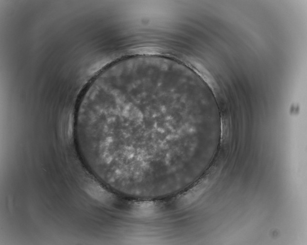 X0000102040301200808011517