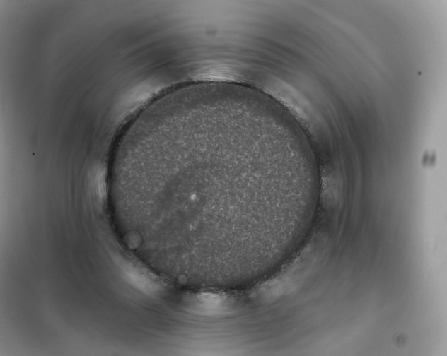 X0000102040302200808011517