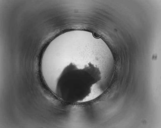 X0000102040303200808011517