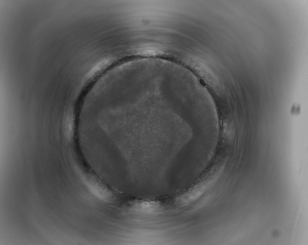 X0000102040304200808011517