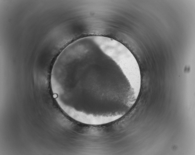 X0000102040305200808011517